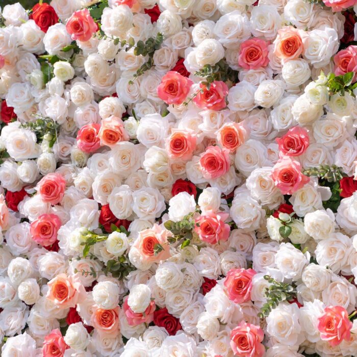 4D White and Pink Roses Wedding Flower Wall Backdrop with Elegant Design