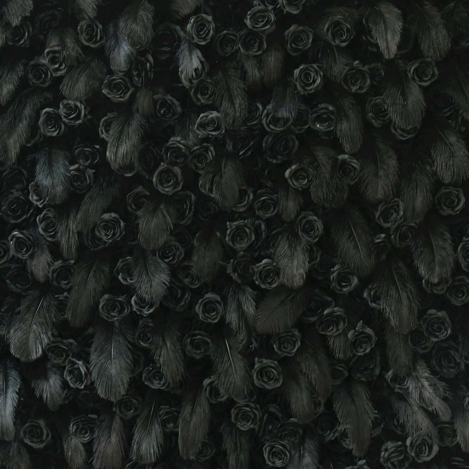 5D Black Feather Wall with Roses for Luxury Gala and Gothic Style Backdrop