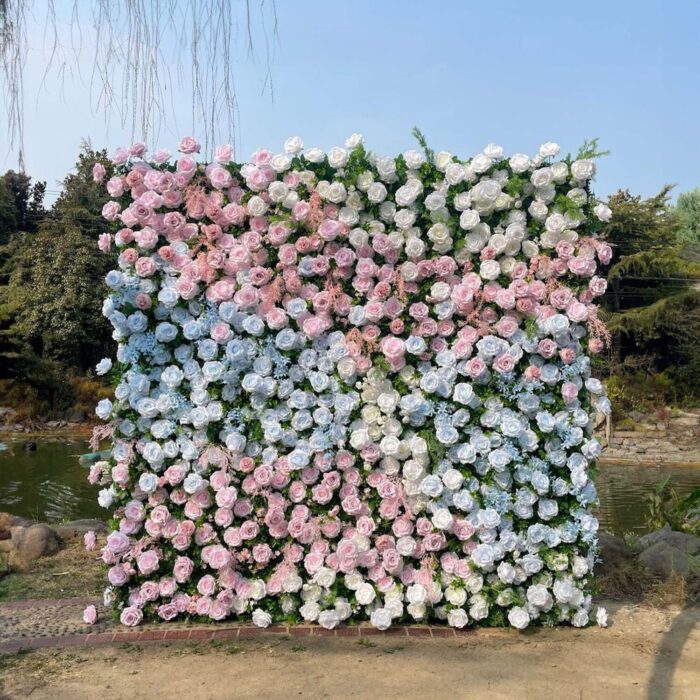 5D Light Pink and Baby Blue Roses Flower Wall for Outdoor Photo Shoots