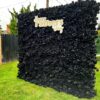 Deluxe Black Wild Rose Flower Wall Decor for Birthday Men and Father's Day Backdrops