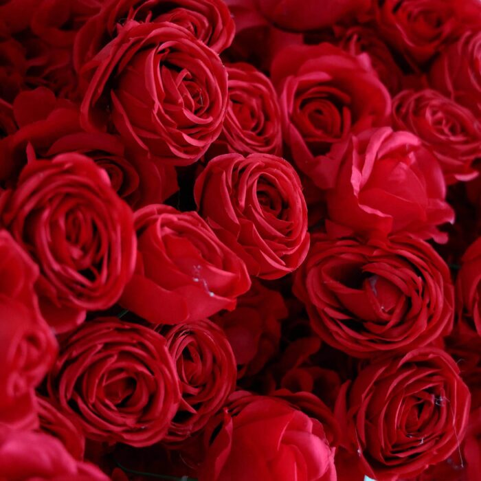Heart-Shaped Red Rose Flower Wall for Anniversary and Wedding Decoration