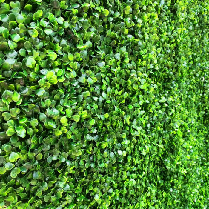Minimalist Greenery Wall for Vibrant Green Backdrop and Garden Party Decor