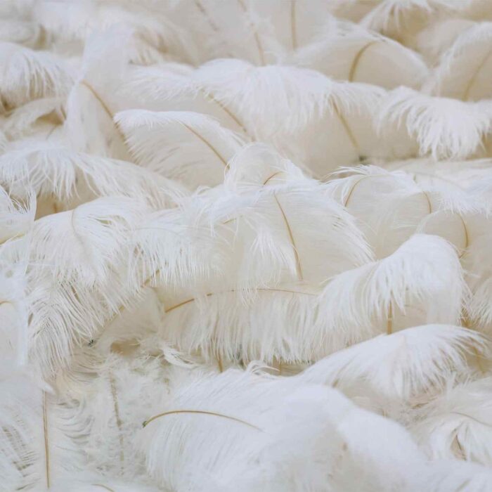 Soft White Feather Wedding Backdrop for Luxury Bridal Shower Decoration