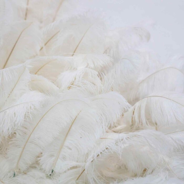 Soft White Feather Wedding Backdrop for Luxury Bridal Shower Decoration