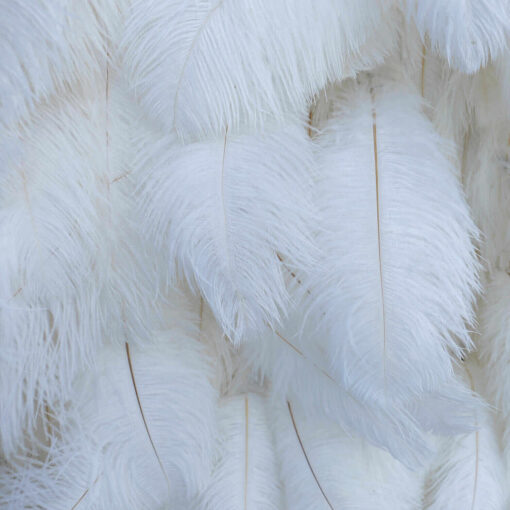 Soft White Feather Wedding Backdrop for Luxury Bridal Shower Decoration
