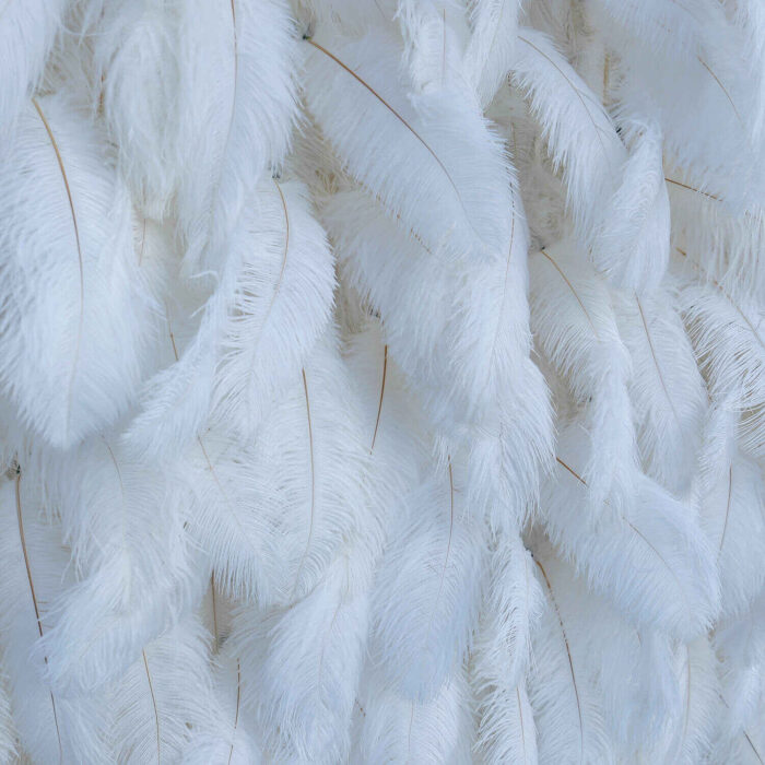 Soft White Feather Wedding Backdrop for Luxury Bridal Shower Decoration