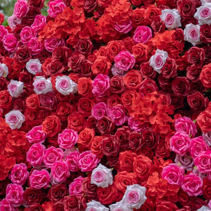 Valentine's Day Decor: Romantic 4D Red and Pink Rose Flower Wall