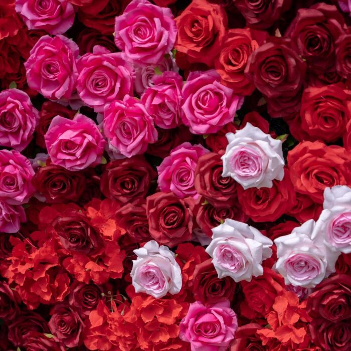 Valentine's Day Decor: Romantic 4D Red and Pink Rose Flower Wall