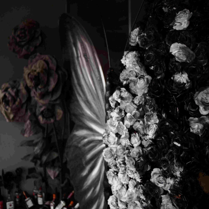 Cinematic Black and White Butterfly Backdrop for Modern Event Themes