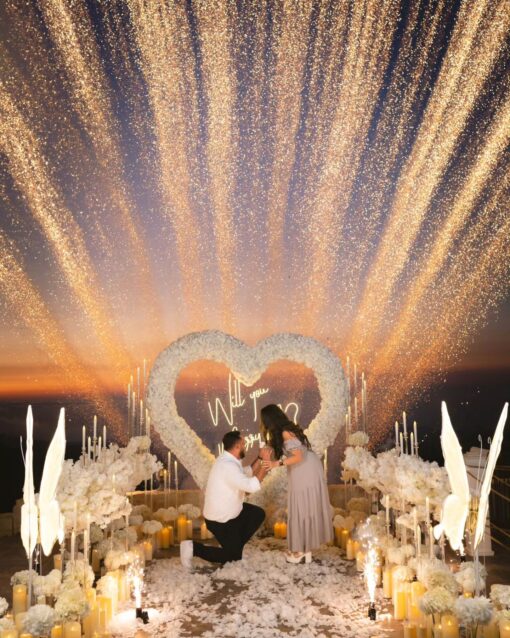Exquisite White Heart-Shaped Rose Arch for Your Dreamy Proposal