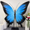 Eye-Catching Blue Gradient Butterfly Wing Backdrop for Weddings and Events
