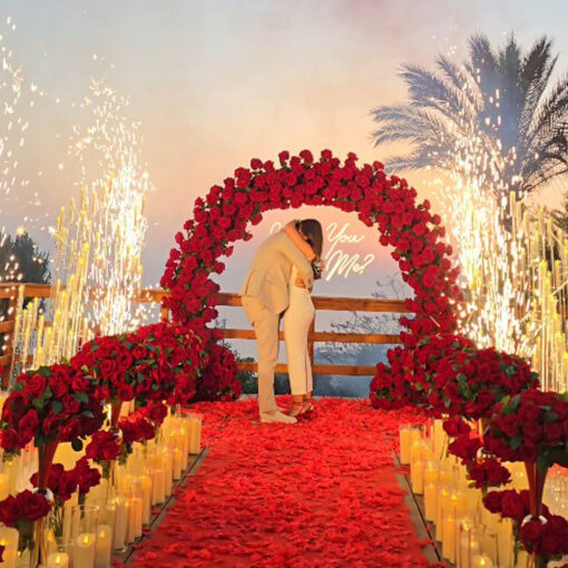 Glamorous Round Arch with Soft Roses for an Elegant Proposal