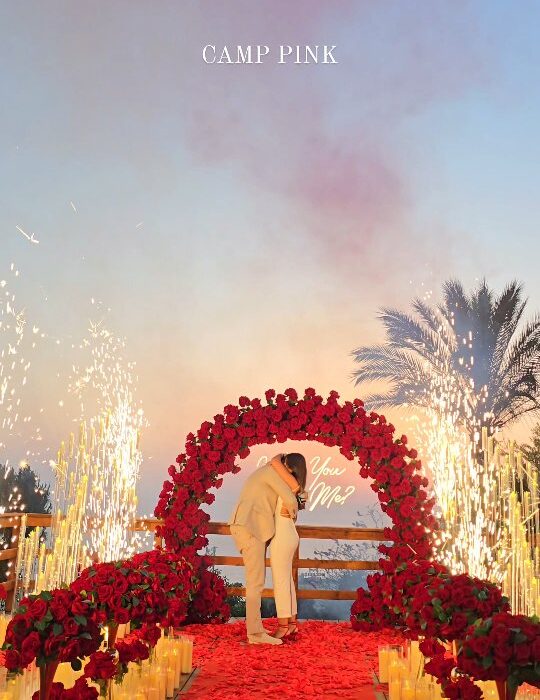 Glamorous Round Arch with Soft Roses for an Elegant Proposal