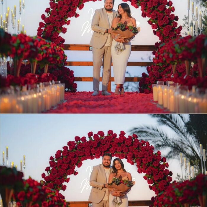 Glamorous Round Arch with Soft Roses for an Elegant Proposal