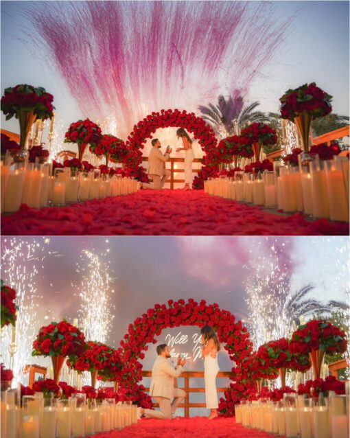 Glamorous Round Arch with Soft Roses for an Elegant Proposal