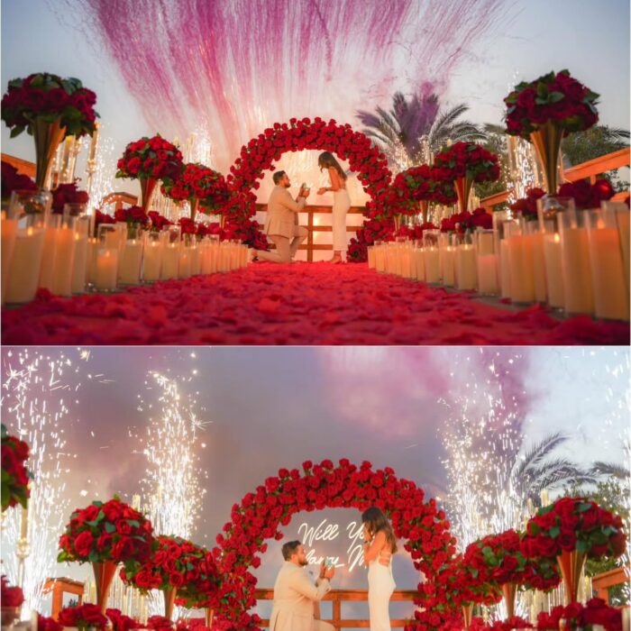 Glamorous Round Arch with Soft Roses for an Elegant Proposal
