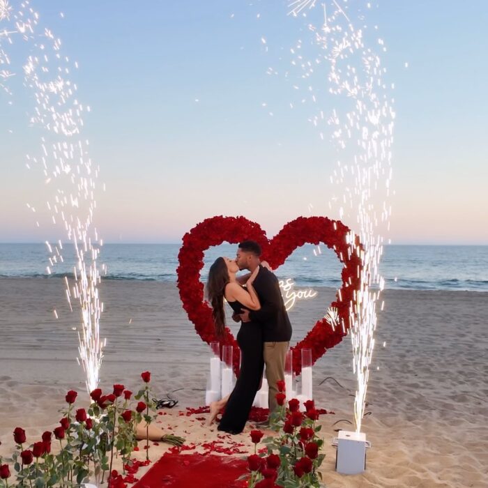 Glowing Red Heart-Shaped Rose Arch for Your Fairy Tale Proposal