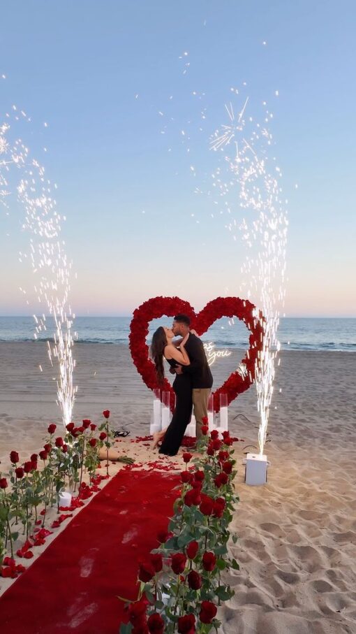 Glowing Red Heart-Shaped Rose Arch for Your Fairy Tale Proposal