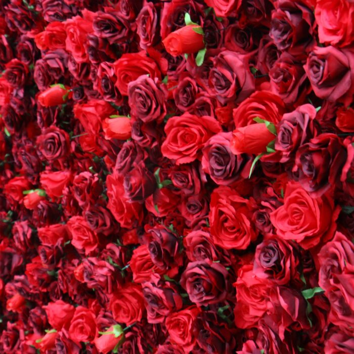 Luxury Red Rose Flower Wall for Wedding & Proposal Bac