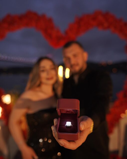 Red Rose Backdrop and Heart Arch for a Heartfelt Proposal Moment