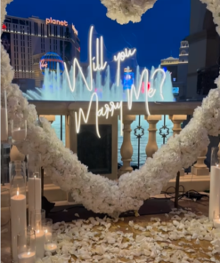 Romantic 'Will You Marry Me' Proposal with a White Rose Heart-Shaped Arch
