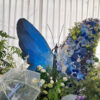 Sophisticated Butterfly Backdrop with Cool Tones and Blue Roses for Photo Booths