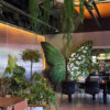 Sophisticated Green Butterfly Backdrop with White Artificial Floral Arrangements for Events