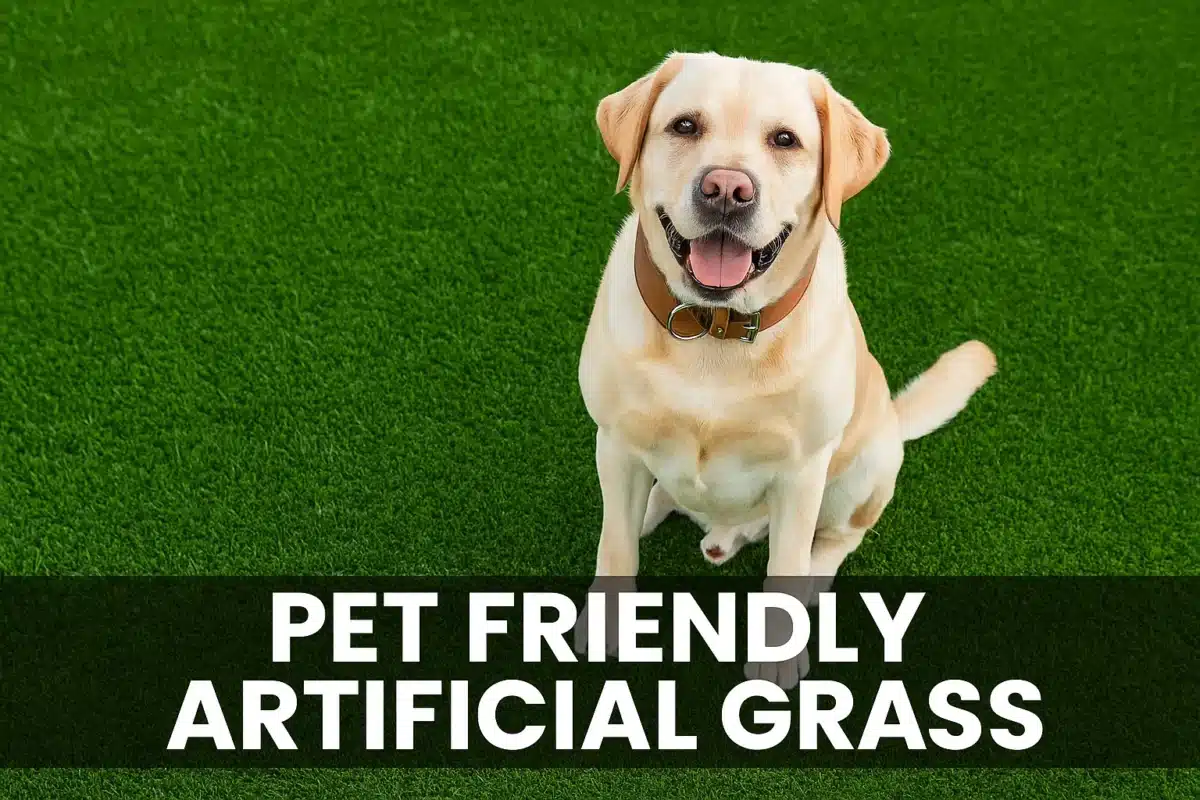 pet friendly artificial grass